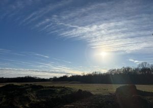 Horn Springs 5 - Website - April -17