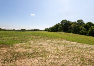 Horn Springs Lot 6-74